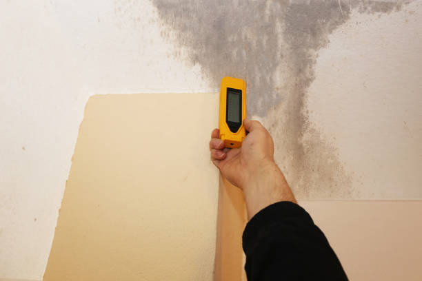 Best Biohazard Mold Removal  in Chowchilla, CA