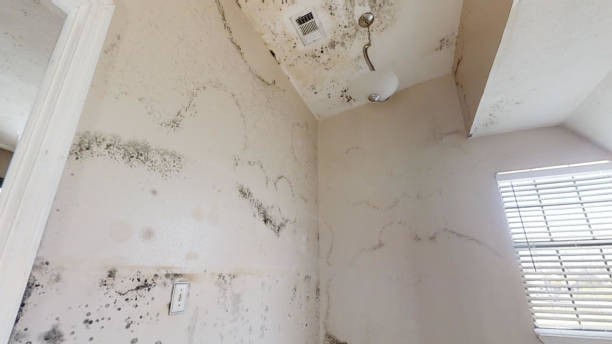 Best HVAC Mold Inspection and Cleaning  in Chowchilla, CA