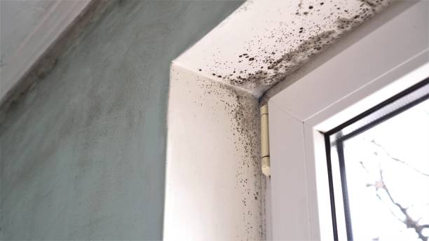 Best Residential Mold Inspection & Testing  in Chowchilla, CA