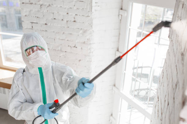  Chowchilla, CA Mold Removal Pros