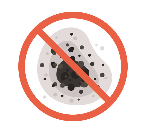 Mold Documentation for Insurance Claims in Chowchilla, CA