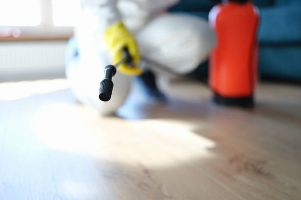 Best Air Quality Testing for Mold Spores  in Chowchilla, CA