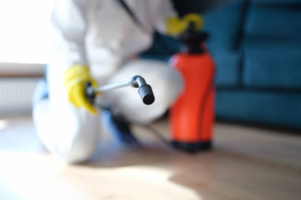 Best Mold Damage Restoration  in Chowchilla, CA