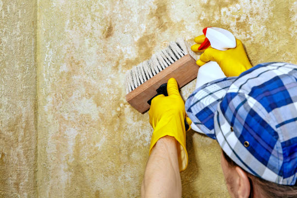 Dehumidification Services in Chowchilla, CA