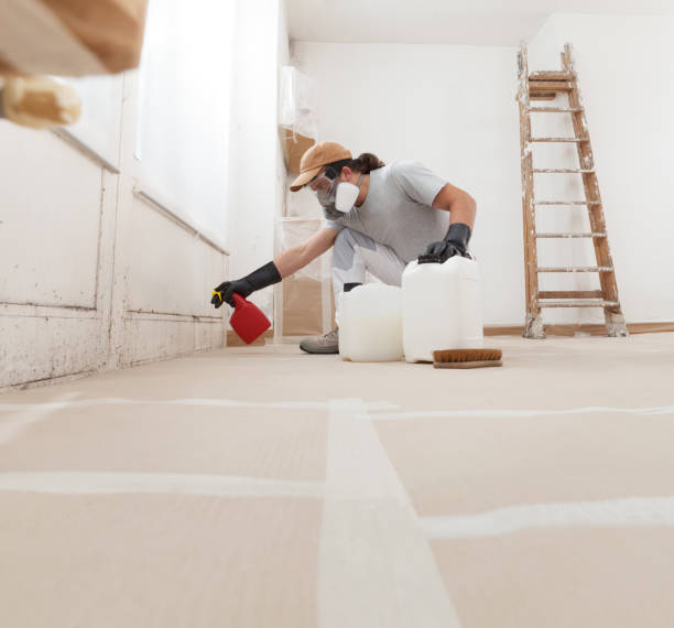 Mold Remediation for Rental Properties in Chowchilla, CA